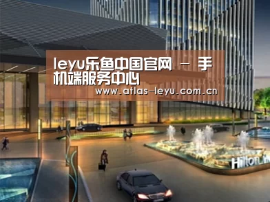 案例展示二(图1) 案例展示二(图1)