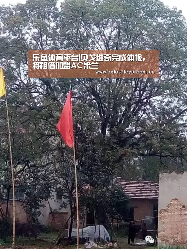 乐鱼体育平台|贝戈维奇完成体检，将租借加盟AC米兰(图3)
