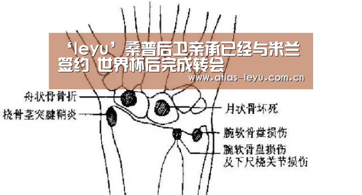 乐鱼体育平台