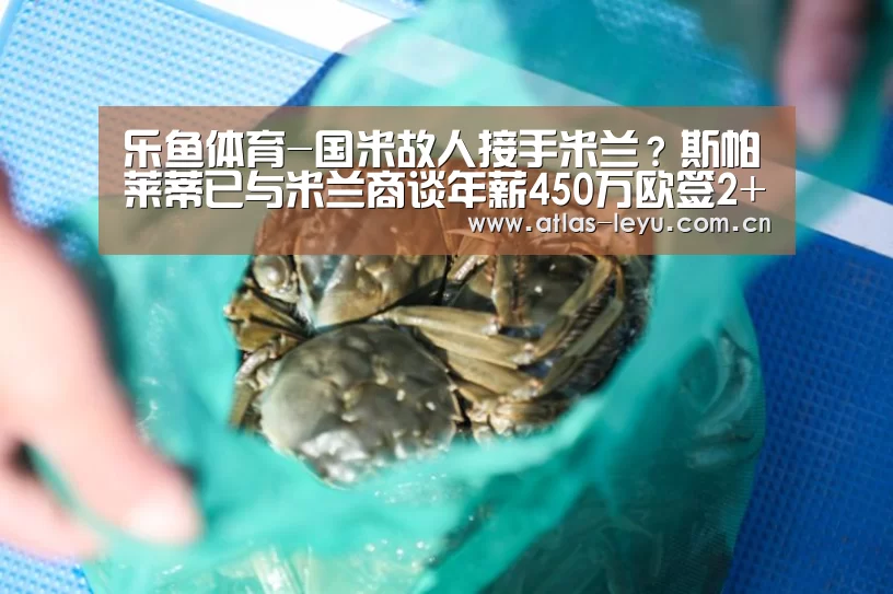 乐鱼体育平台