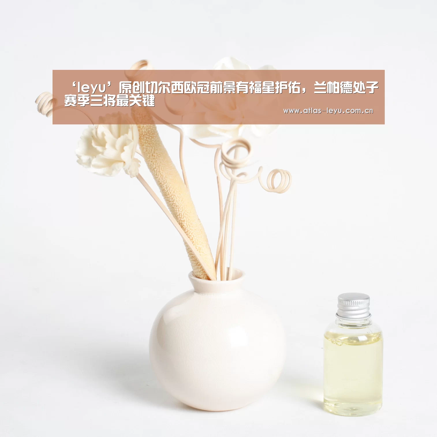 乐鱼体育
