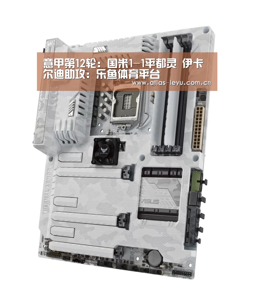 乐鱼体育